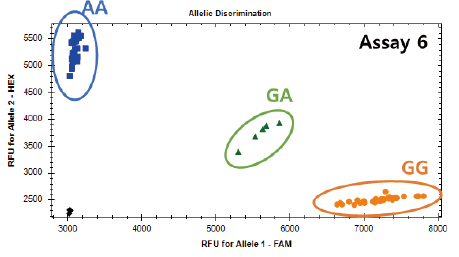 KASP assay 지노타입핑
