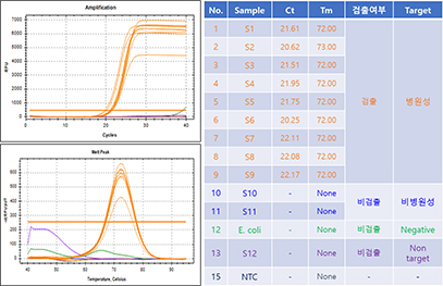 PNA assay 병해충 진단