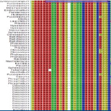 프라이머 프로브 디자인